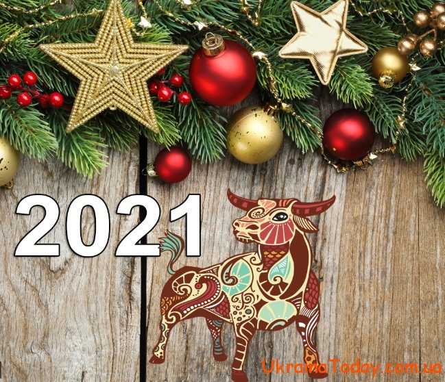 8B925EF2 2C62 402C AD1D DAF948C919EA - Як красиво прикрасити ялинку на Новий рік 2022?
