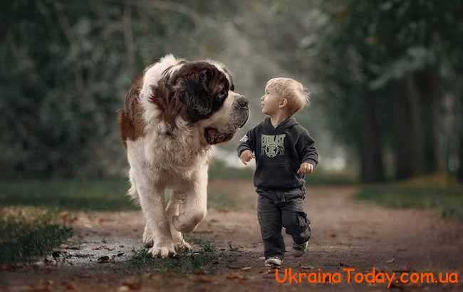 маленький хлопчик і велика собачка
