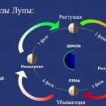 lunnij-kalendar-strizhok-na-kviten-2018-roku-1