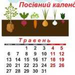 misyac_traven