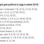 можна тут