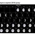 можна тут