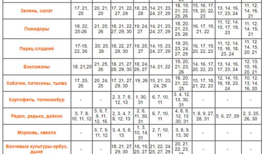 Посівний календар огородника на липень 2018 року
