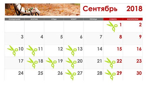 Сприятливі дні для стрижки у вересні 2018 року