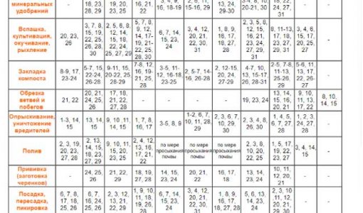 Посівний календар огородника на грудень 2018 року