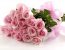 cvety 2 65x50 - Магазин цветов «Дицентра»: красивые цветочные композиции с доставкой на дом