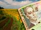 Zemlya03 82x60 - Плата за землю в 2020 році в Україні