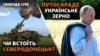 В основе переговоров есть вопросы создания коридора безопасности для судов, перевозящих украинское зерно