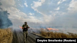 Украинская пшеница в огне: продовольственный кризис в мире углубляется (фотосвидетельство)