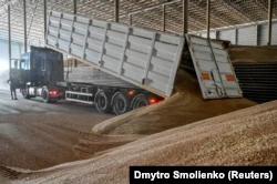 Зерно с фуры ссыпают в складское помещение.  Запорожская область, 29 июля