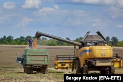 Во время загрузки только что собранной пшеницы из комбайна в грузовик, недалеко от Харькова, фото от 30 июля