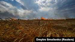 У линии фронта на административной границе между Запорожской и Донецкой областями пылает пшеничное поле, июль 2022 года