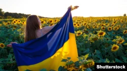 Подсолнечное поле в Украине