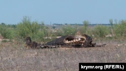 Убитая корова на обочине дороги в селе Ивановка