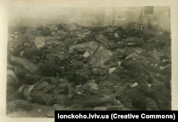 Неопознанные тела погибших в Бригидках