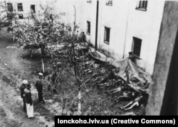 Опознание погибших в Бригидках.  3 июля 1941 года