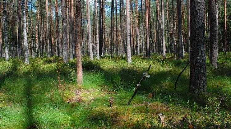 Звідси взято керн довжиною 13 метрів, фото: П. Кіттель