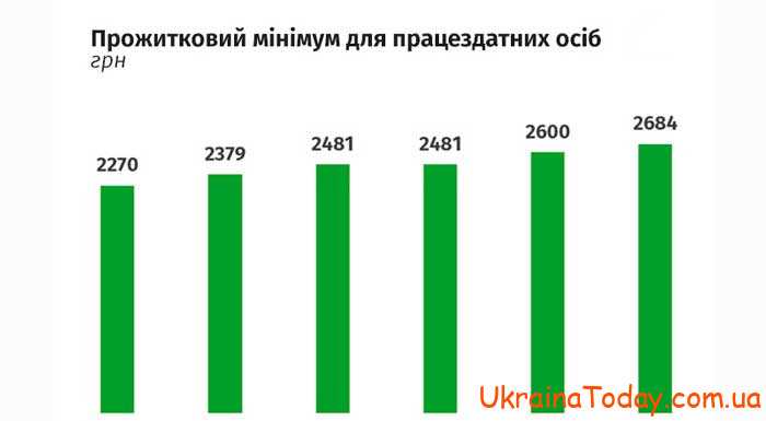 Прожиточный минимум на 2024 год в Украине